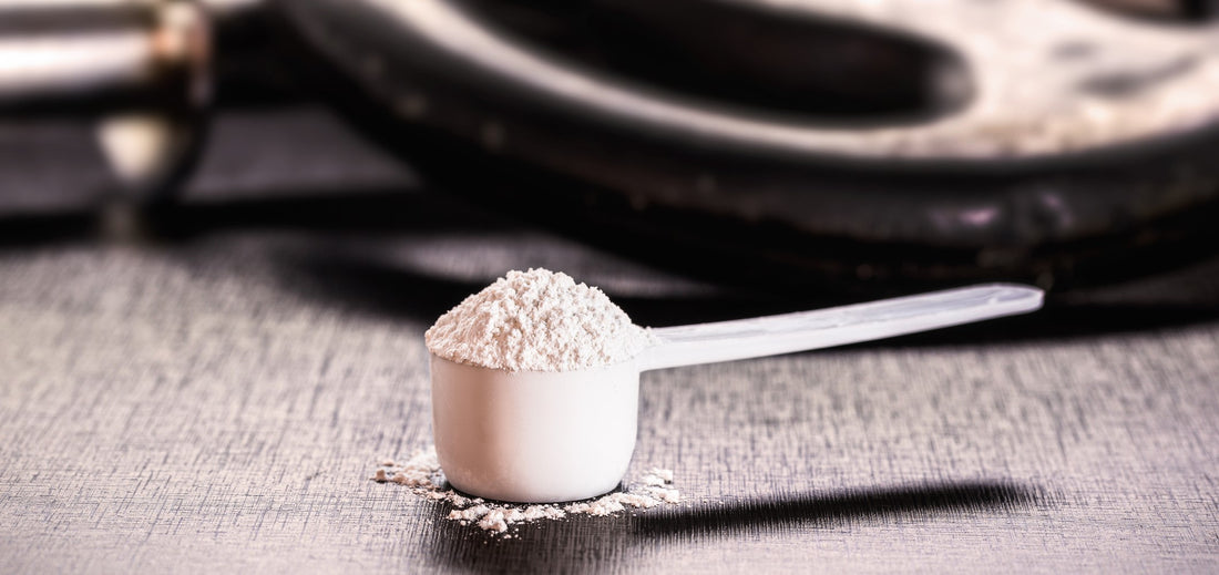 Creatine Monohydrate: Busting Myths and Embracing Benefits!