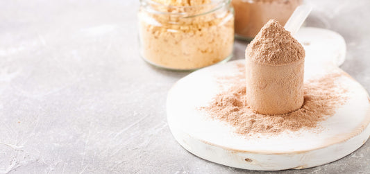 Whey Protein vs. Plant-Based Protein